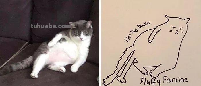灵魂画师再度上线，继续教你画宠物简笔画