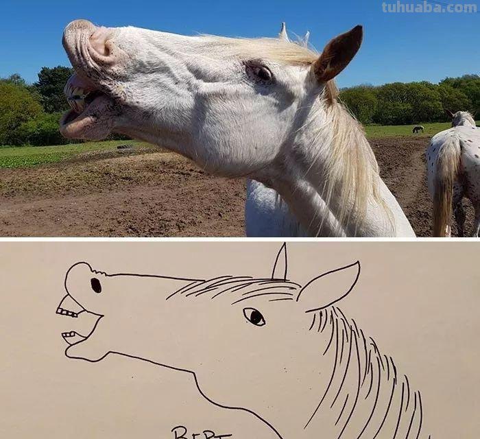 灵魂画师再度上线，继续教你画宠物简笔画