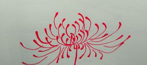 画彼岸花的完整步骤图 画彼岸花的完整步骤图片
