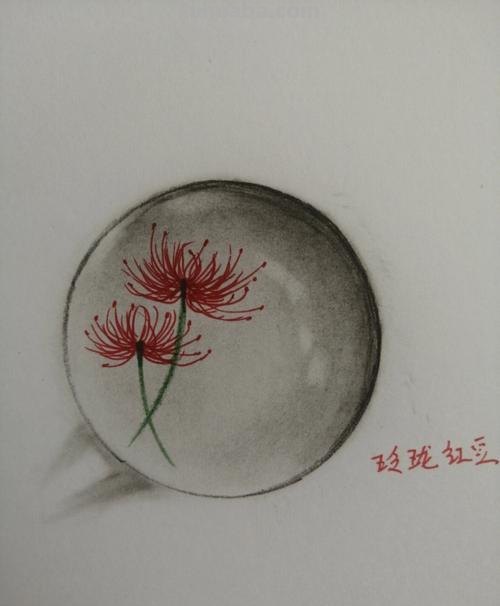 画彼岸花的完整步骤图 画彼岸花的完整步骤图片