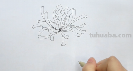彼岸花手绘怎么画