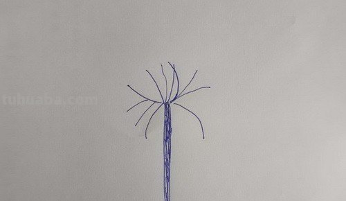 彼岸花怎么画简笔画
