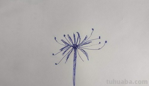 彼岸花怎么画简笔画