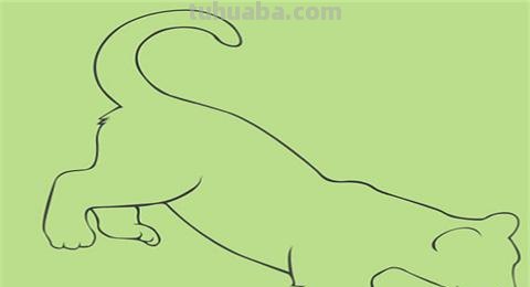 彩铅 老虎怎么画 简笔画 老虎的简笔画？