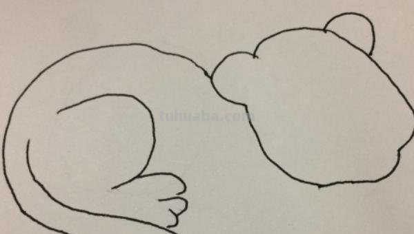 彩铅 老虎怎么画 简笔画 老虎的简笔画？
