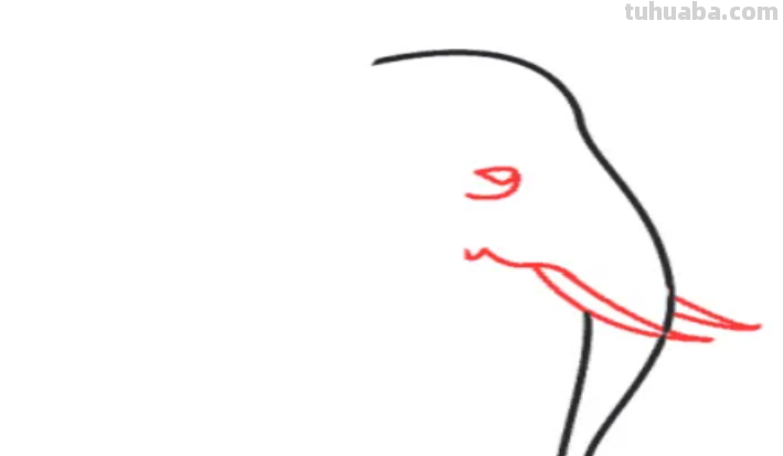 怎么画大象简单画法