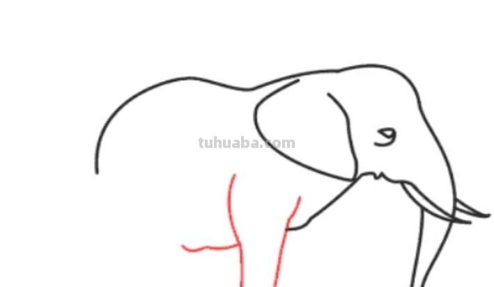 怎么画大象简单画法