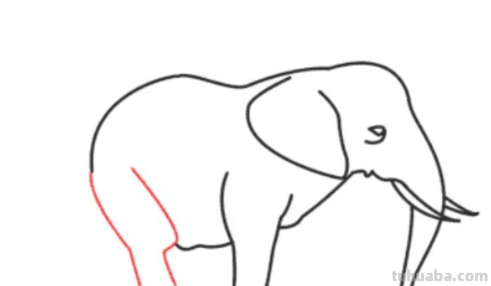 怎么画大象简单画法