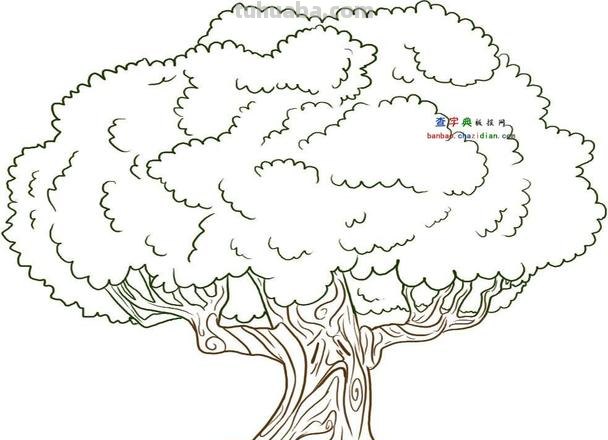 怎么画大树简笔画图片 大树的简笔画怎么画？