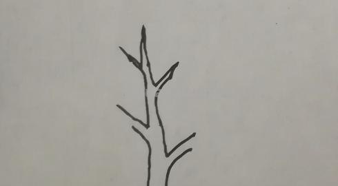 怎么画大树简笔画图片 大树的简笔画怎么画？