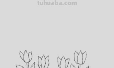 怎么画大树简笔画图片 大树的简笔画怎么画？