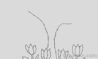 怎么画大树简笔画图片 大树的简笔画怎么画？