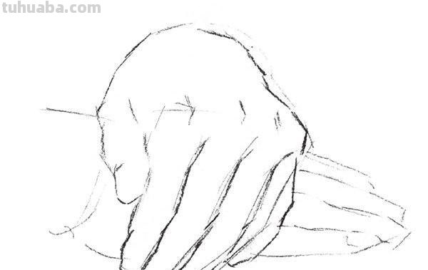 手脚速写简单 速写手的基本画法？