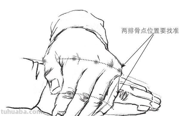 手脚速写简单 速写手的基本画法？