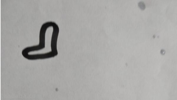 鹅怎么画简笔画图片 怎么画鹅简笔画？