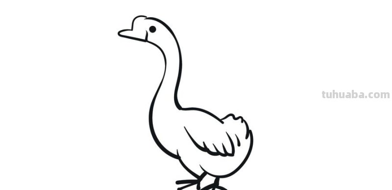鹅怎么画简笔画图片 怎么画鹅简笔画？