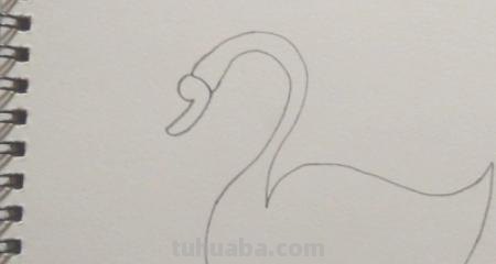 鹅怎么画简笔画图片 怎么画鹅简笔画？