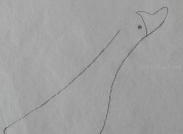 鹅怎么画简笔画图片 怎么画鹅简笔画？