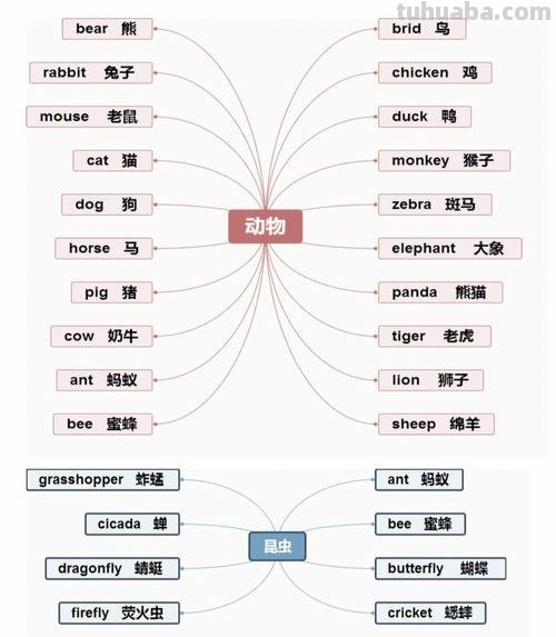 电脑思维导图怎么画英语 英语思维导图怎样做？英语思维导图怎样做？