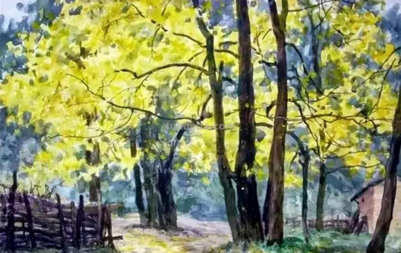 广东水彩画家陆铎生风景花卉静物作品选集