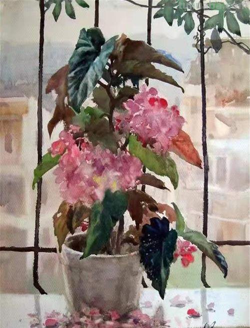 广东水彩画家陆铎生风景花卉静物作品选集
