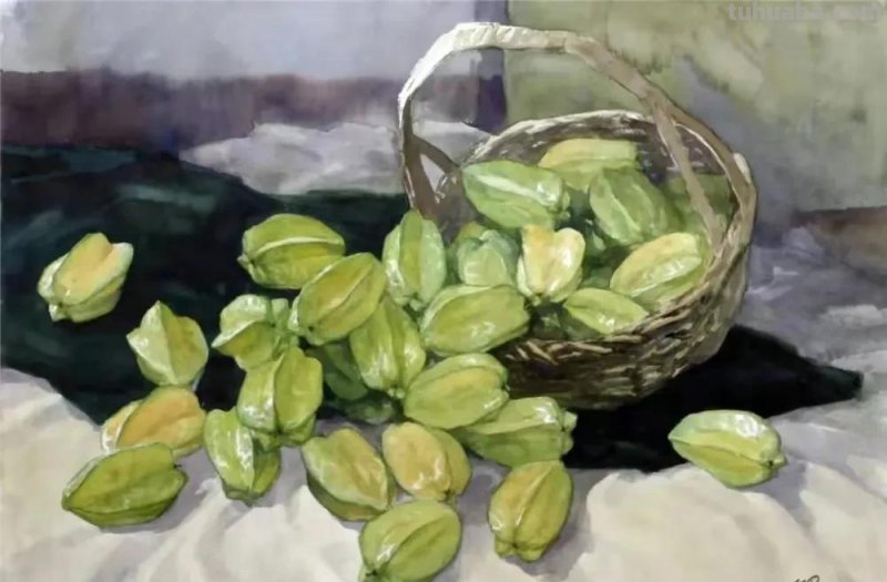 广东水彩画家陆铎生风景花卉静物作品选集