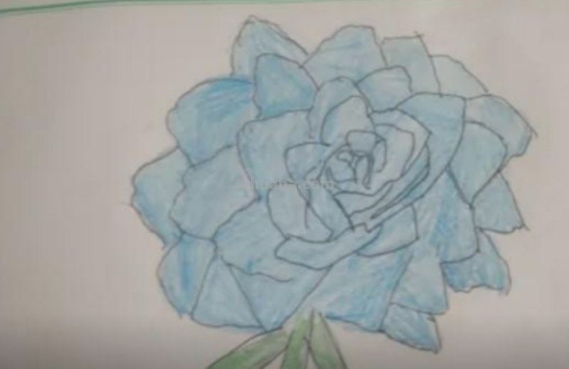 简单彩铅花怎么画视频 怎么用彩铅画超简单的花海？
