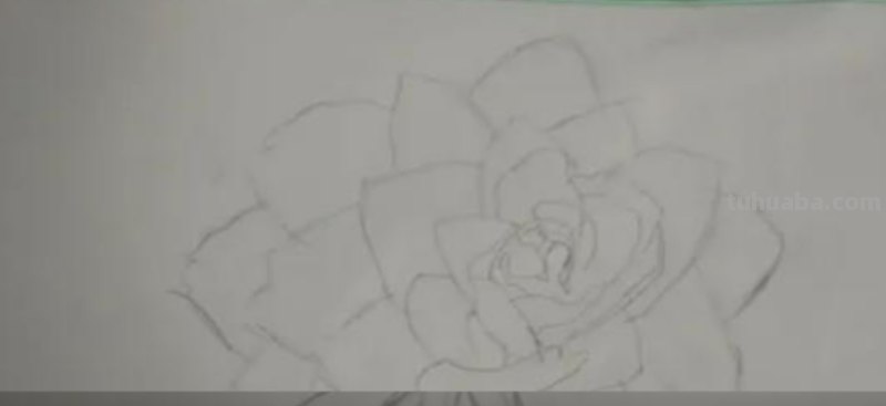 简单彩铅花怎么画视频 怎么用彩铅画超简单的花海？