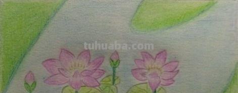 简单彩铅花怎么画视频 怎么用彩铅画超简单的花海？