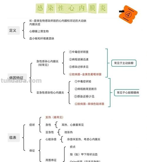 循序护理思维导图怎么画 循环护理实施程序?