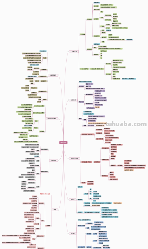 循序护理思维导图怎么画 循环护理实施程序?