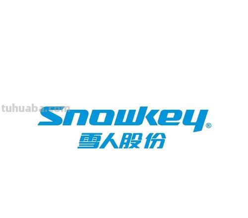 雪人 雪人股份