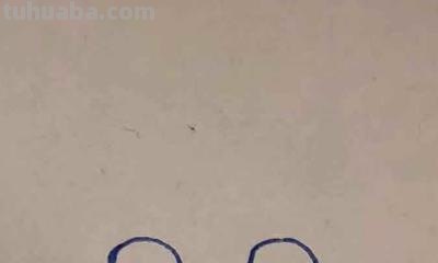 出租车怎么画简笔画 出租车的颜色怎么涂？