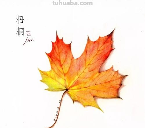 动漫树叶用彩铅怎么画 很茂密的树怎么用彩铅画?