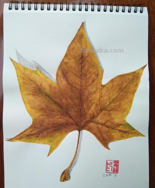 动漫树叶用彩铅怎么画 很茂密的树怎么用彩铅画?