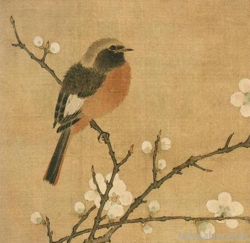 谁说魏晋时期找不到花鸟画？原来根本就没在纸上，而是在这些地方