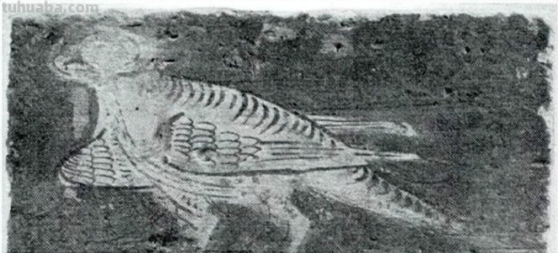谁说魏晋时期找不到花鸟画？原来根本就没在纸上，而是在这些地方