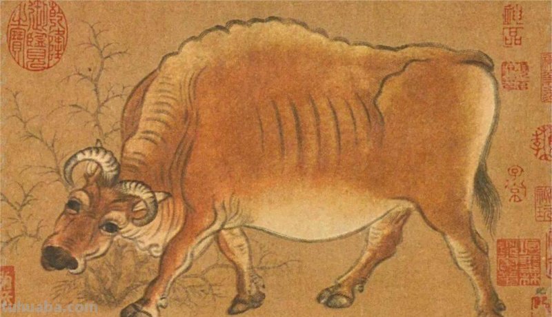 谁说魏晋时期找不到花鸟画？原来根本就没在纸上，而是在这些地方