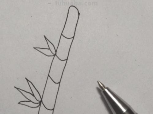 怎么画竹简简笔画图片 竹简上如何画画？