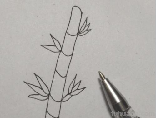 怎么画竹简简笔画图片 竹简上如何画画？
