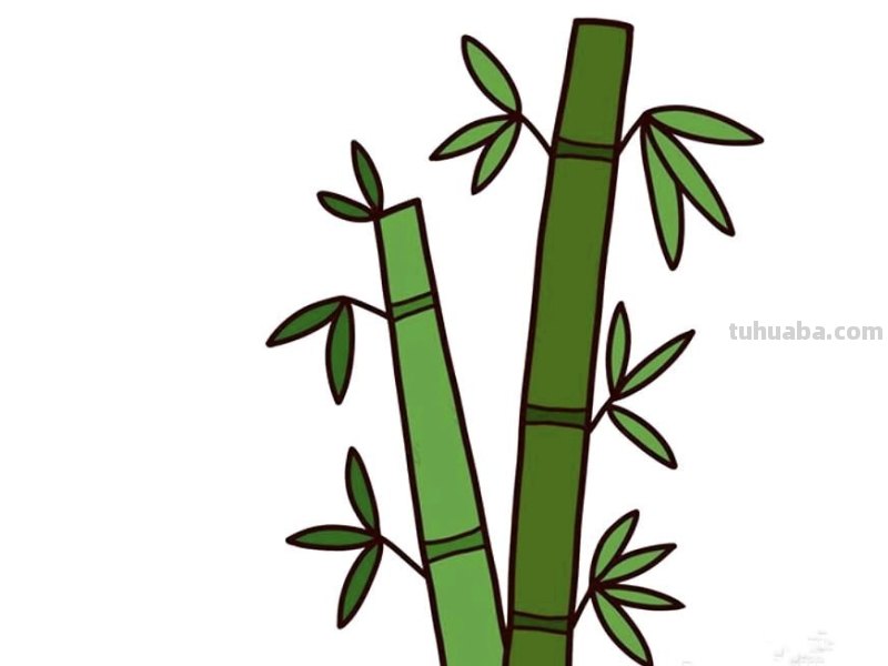 怎么画竹简简笔画图片 竹简上如何画画？