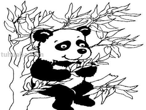 超有爱的小动物简笔画1