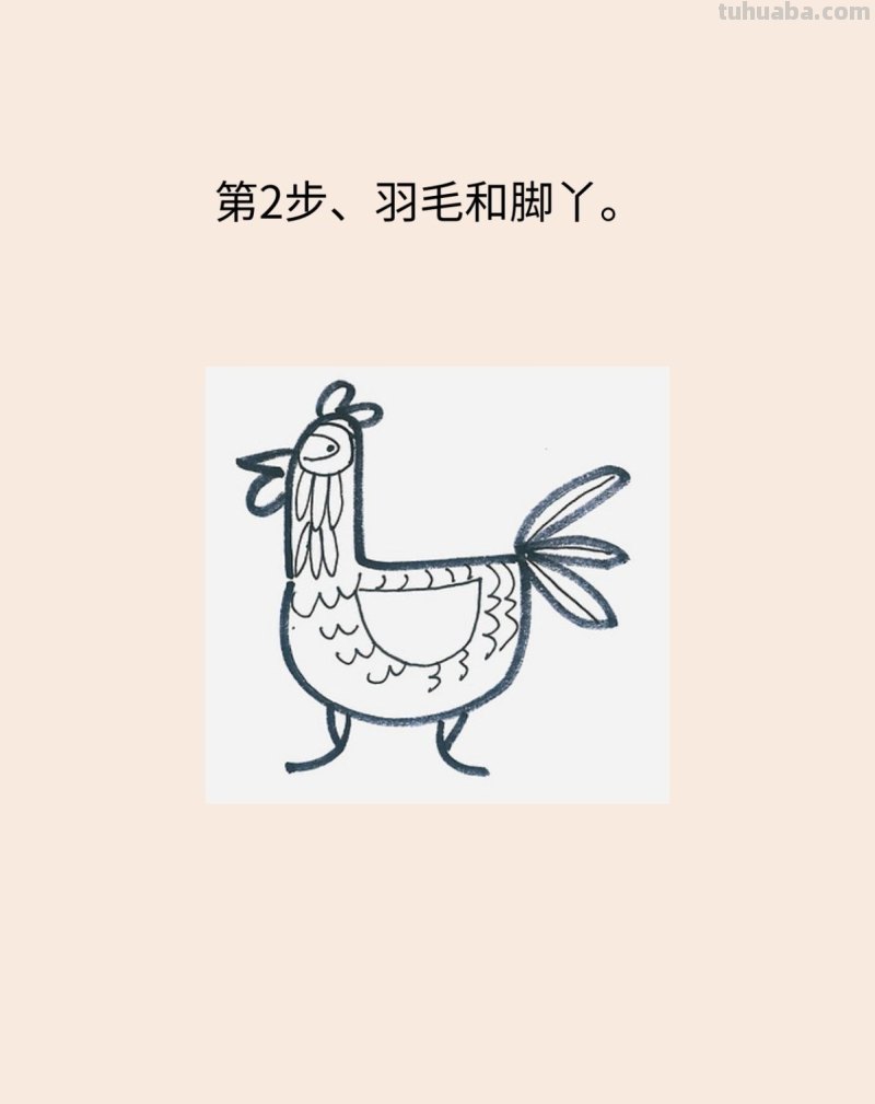 感恩节火鸡简笔画画法图片步骤