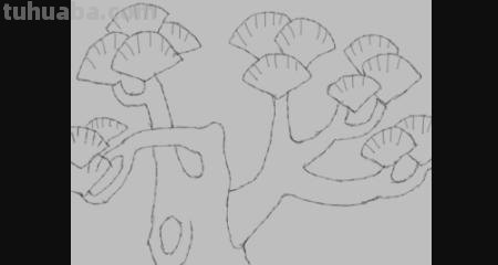 银杏怎么用彩铅画的 银杏树图片绘画？