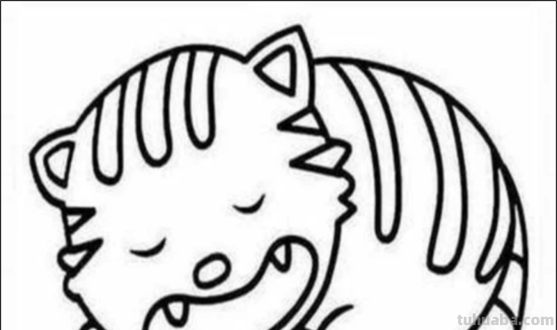 很简单的画画教程