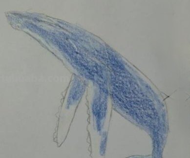怎么彩铅画星空鲸鱼教程 怎样用彩铅画出星空？