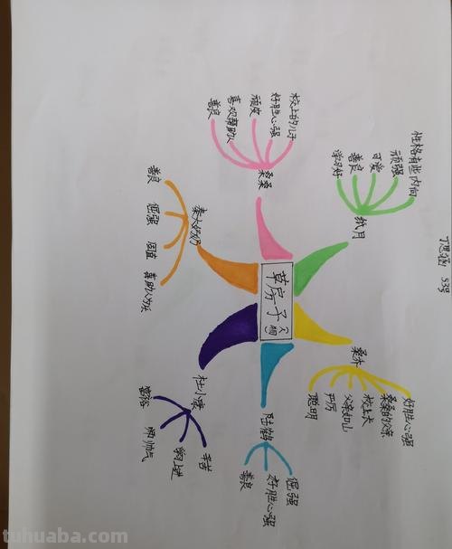 思维导图实践心得怎么写 思维导图的收获和感受?