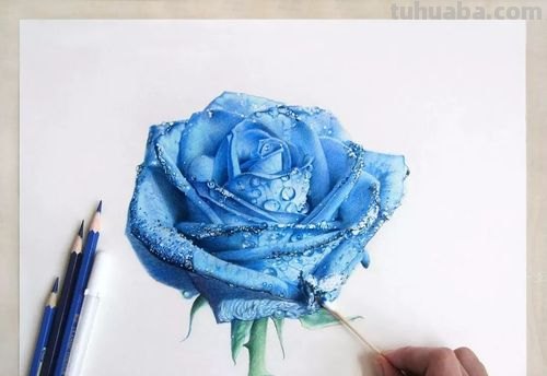 水溶彩铅怎么画水 水溶性彩铅怎样作画?