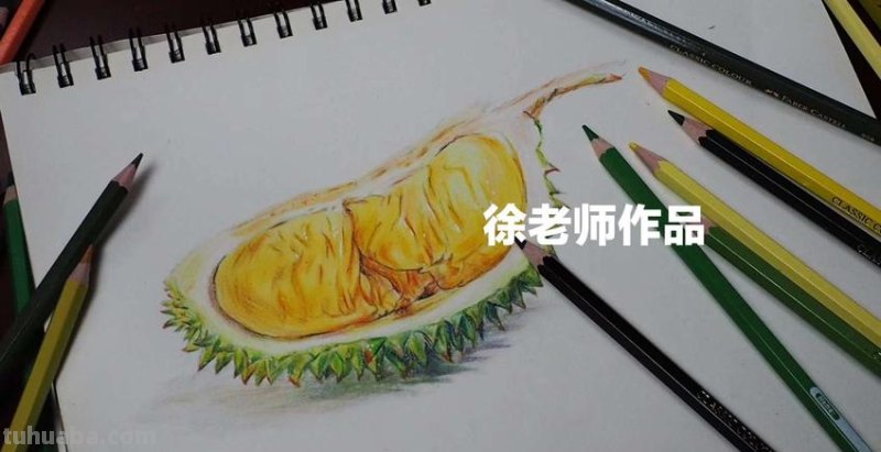 用彩铅画什么水果好看 榴莲彩铅画?
