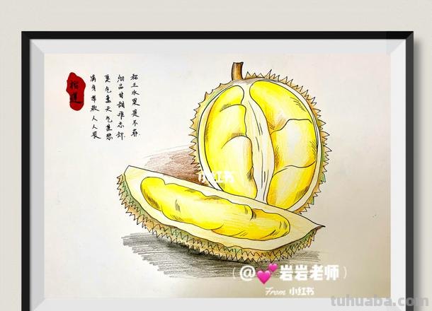 用彩铅画什么水果好看 榴莲彩铅画?